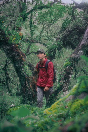 Portrait of man standing on tree