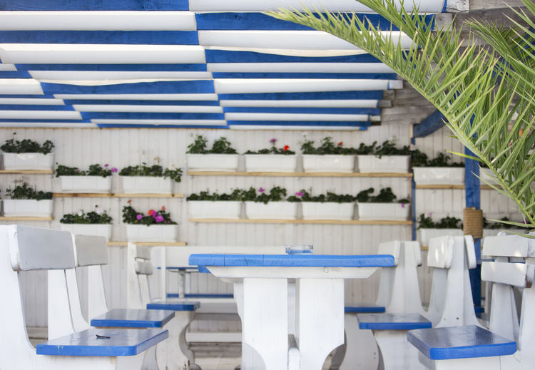 Potted plants on table in restaurant