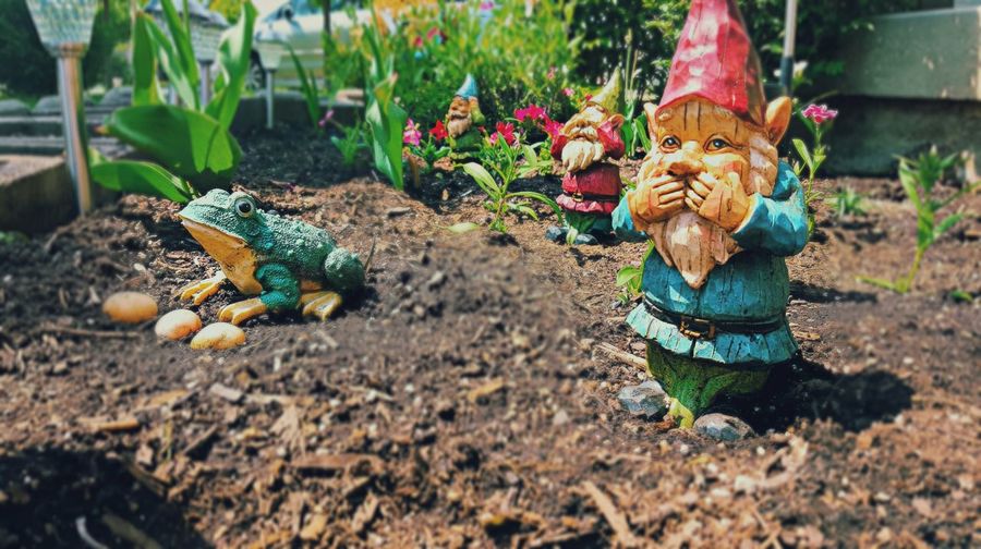 Garden gnomes on dirt in back yard