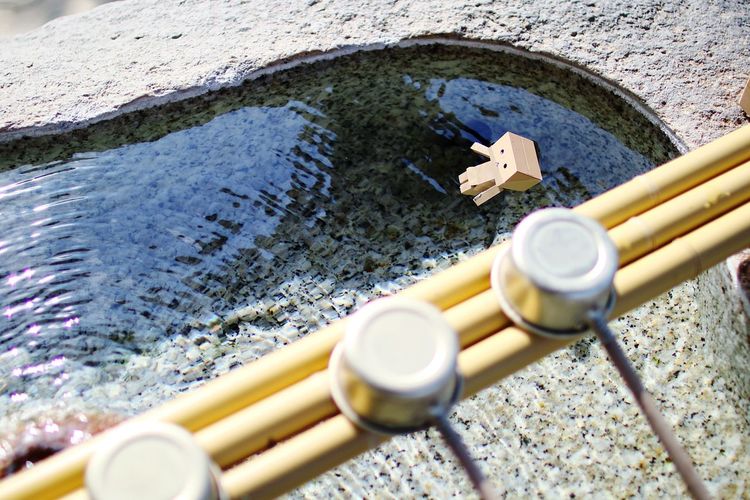 High angle view of danbo in fountain at japanese garden