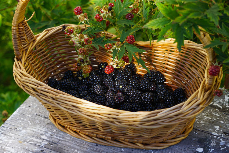 High angle view of wicker basket