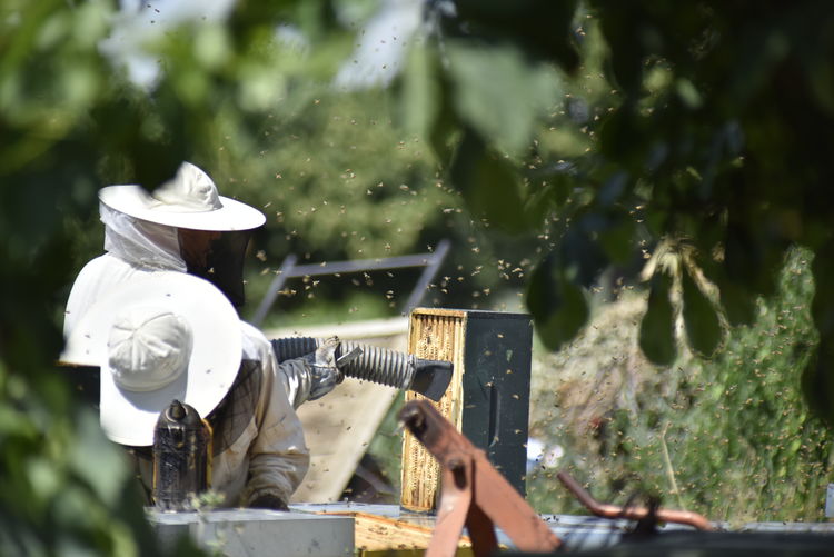 Close-up of man working on plants