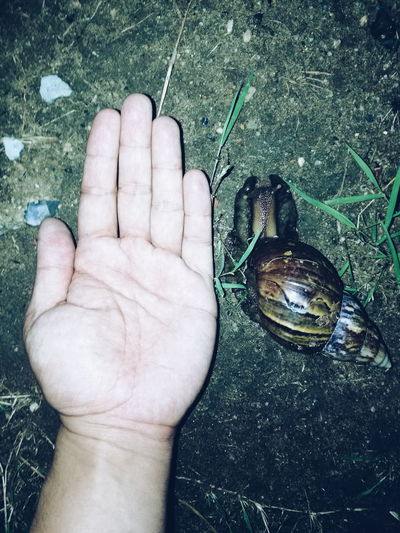 Close-up of man holding hand