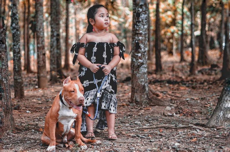 Full length of girl with dog looking away in forest