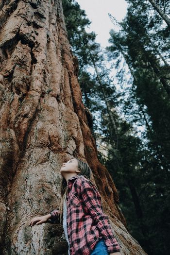 Low angle view of girl standing below tree in forest