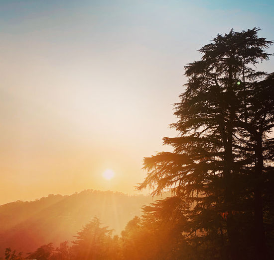 The golden hour 