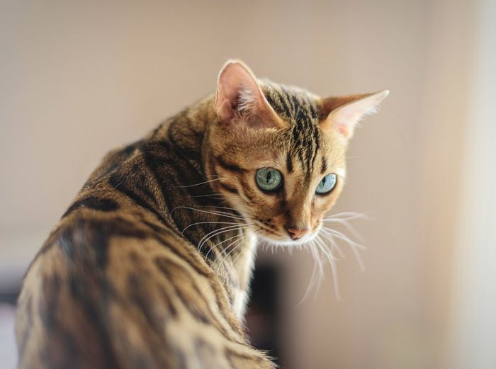I am looking at you.