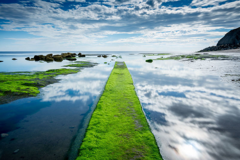 Moss covered pier at beach against cloudy sky