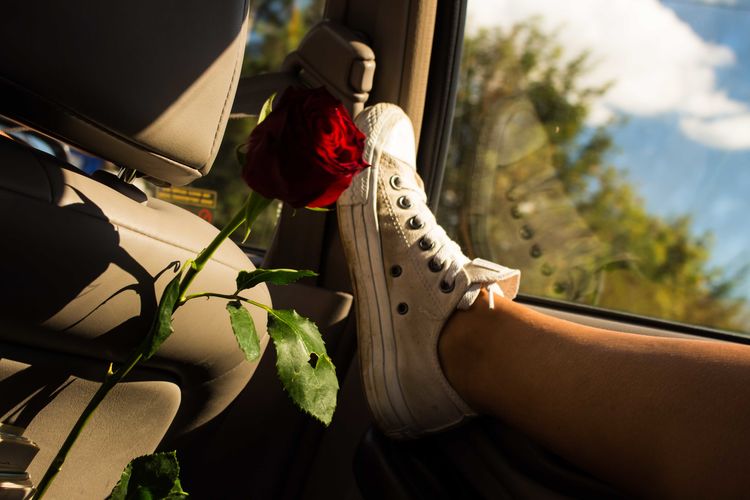 Low section of woman wearing white shoe by rose in car
