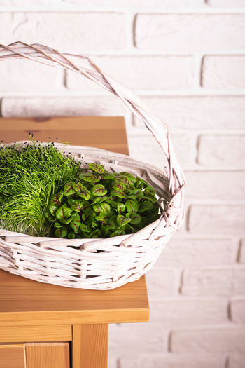 Fresh microgreens in a white basket close up vertical orientation