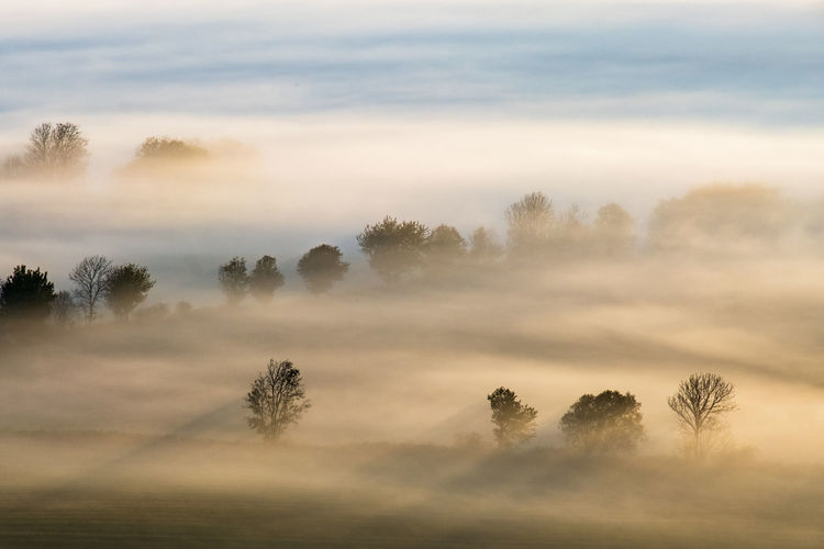 Aerial view at a misty sunrise in the countryside
