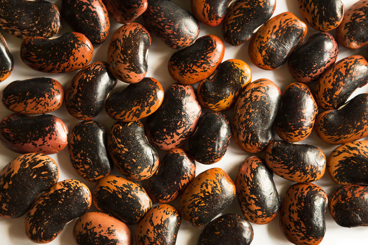 Red and black spotted beans close-up. the pattern of the haricot, background, texture. 