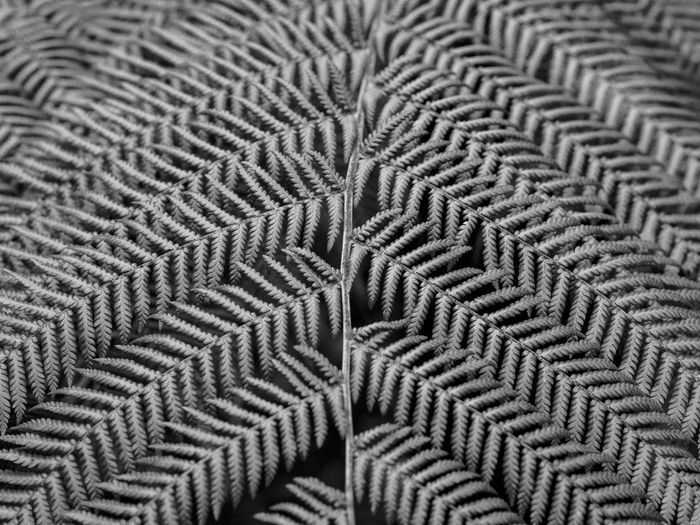 Close-up of pattern
