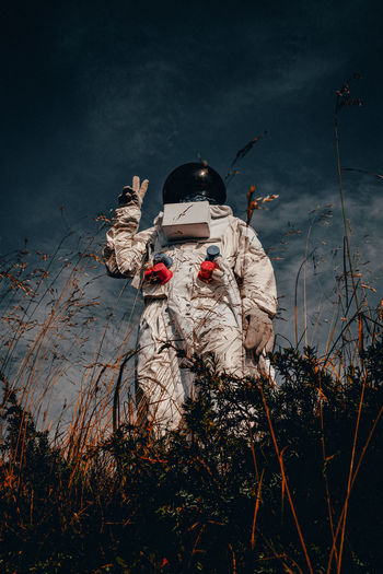 A portrait of an astronaut 