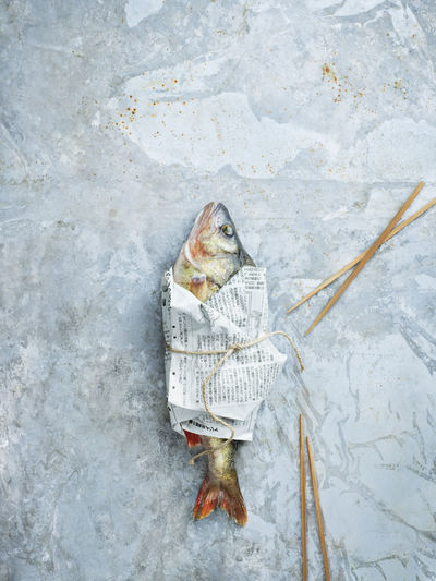 Raw fish wrapped in newspaper