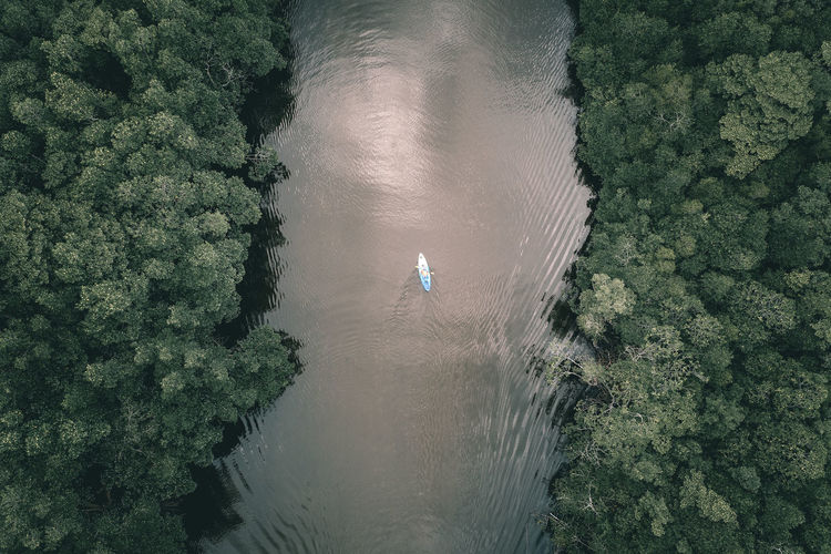 High angle view of trees by sea