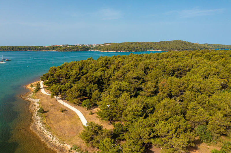 Aerial view of a coastal pine forest near medulin town in istra, croatia