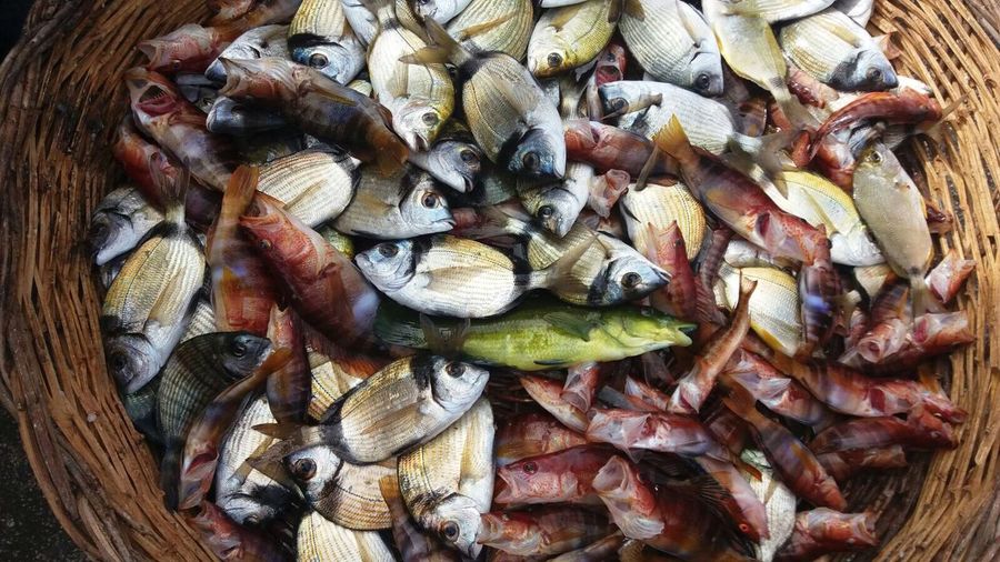 High angle view of dead fishes in wicker basket at market stall
