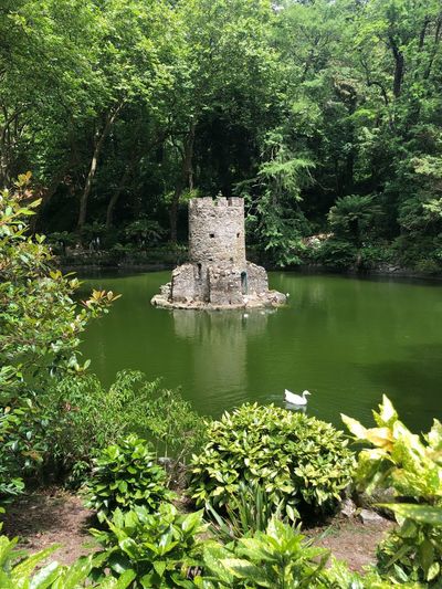 Built structure in the lake