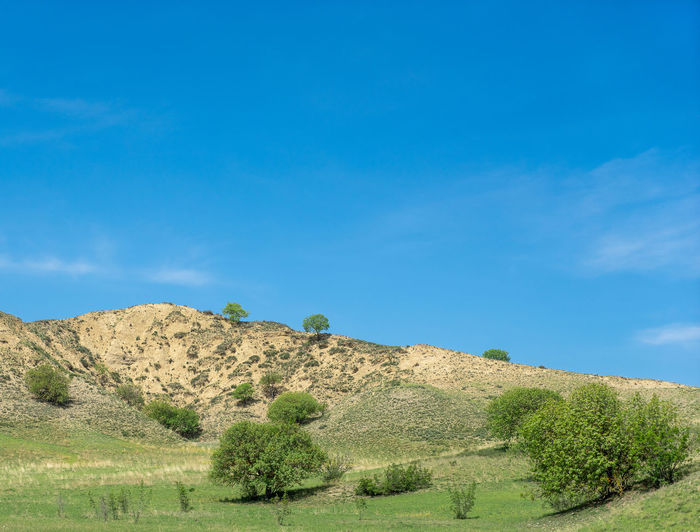 Scenic view of landscape against clear blue sky