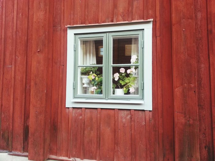 Flower pots on window sill