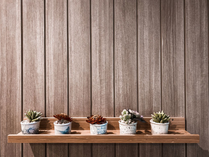 Potted plants on wooden floor against wall