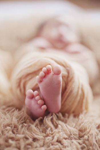 Feet of newborn baby on fur