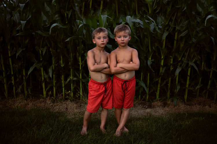 Portrait of cute shirtless brothers with arms crossed standing on agricultural field