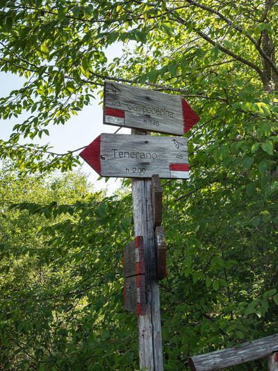 Low angle view of sign on wooden post