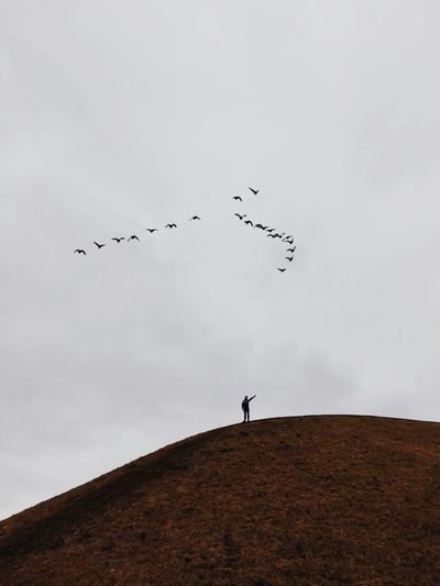 Man standing on hill with birds flying in sky
