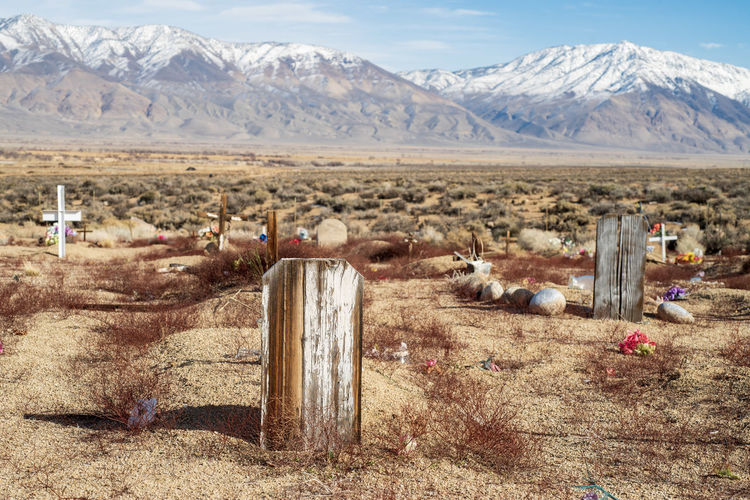 Desert cemetery
