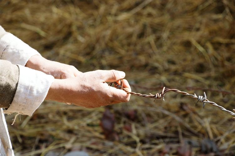 Close-up of hands holding barbed wire
