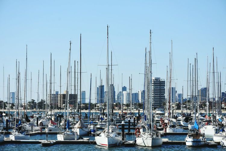 Sailboats moored in harbor against clear sky