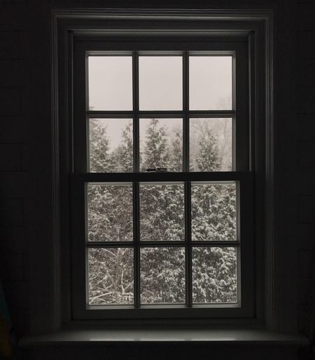 Window in sunlight