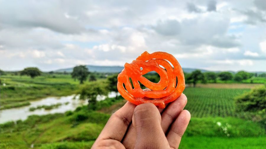 Midsection of person holding jalebi on field