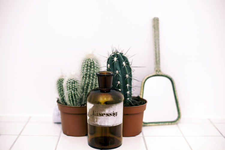 Bottle and potted cactuses by mirror on tiled floor