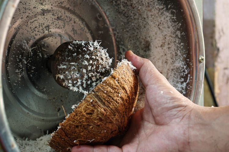 Close-up of person preparing food. grated coconut