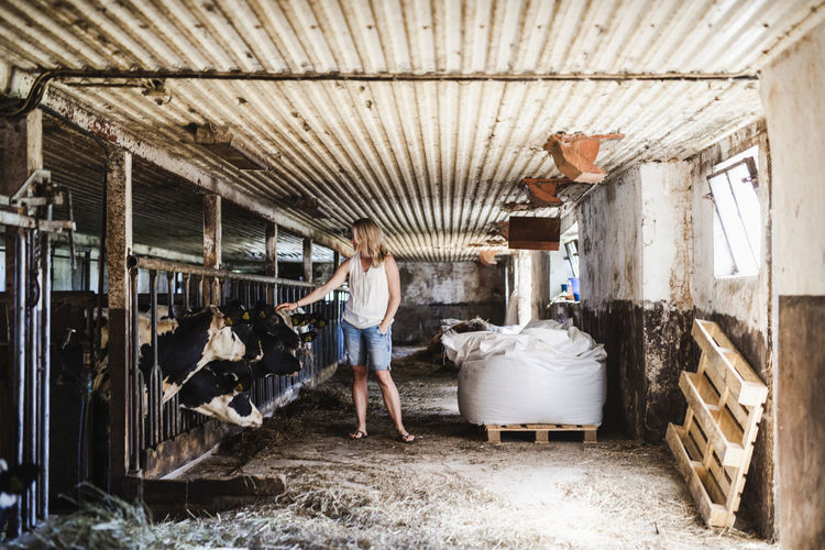 Woman working in barn