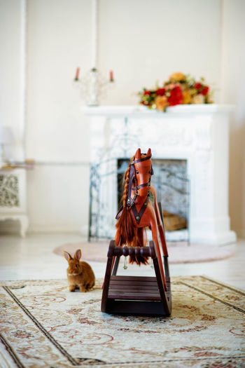 Rocking horse with rabbit in a house at daytime