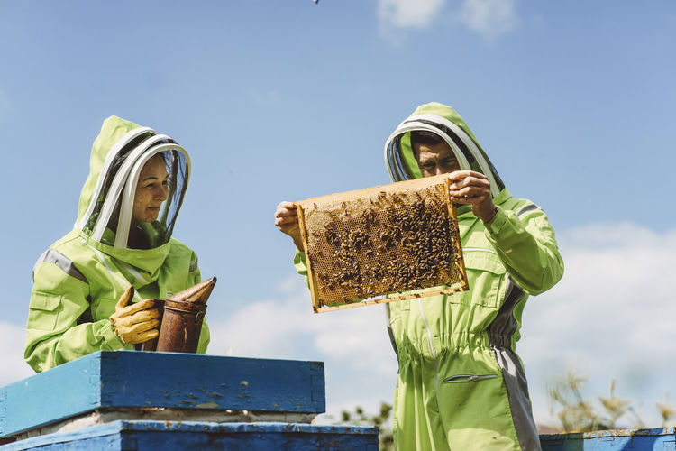 Beekeeper with colleague analyzing beehive on sunny day