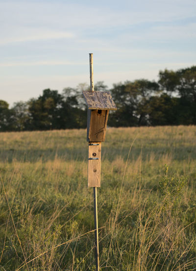 Birdhouse during golden hour in a prairie