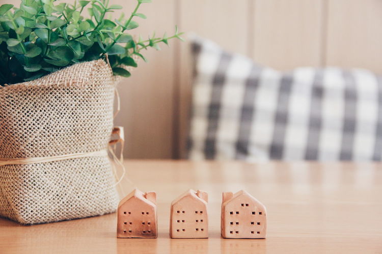 Close-up of model houses by plant on wooden table