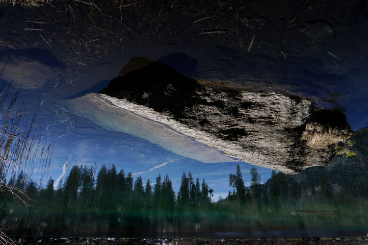 Reflection of forest in lake with rock
