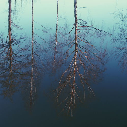 Scenic view of tree against sky during winter reflected in lake