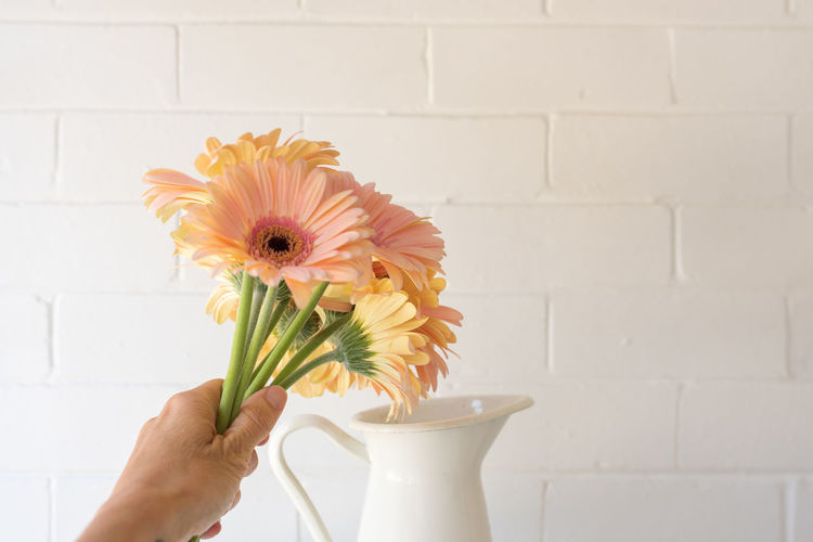 Close-up of hand holding flower vase against wall