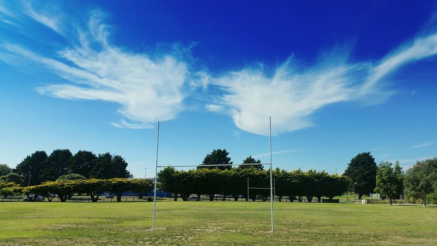 Trees on rugby field against sky