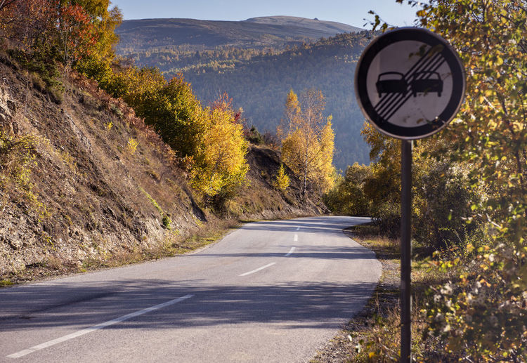 Road sign by trees