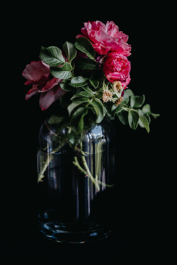Close-up of rose bouquet in glass vase against black background