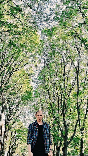 Portrait of young man standing against trees in forest