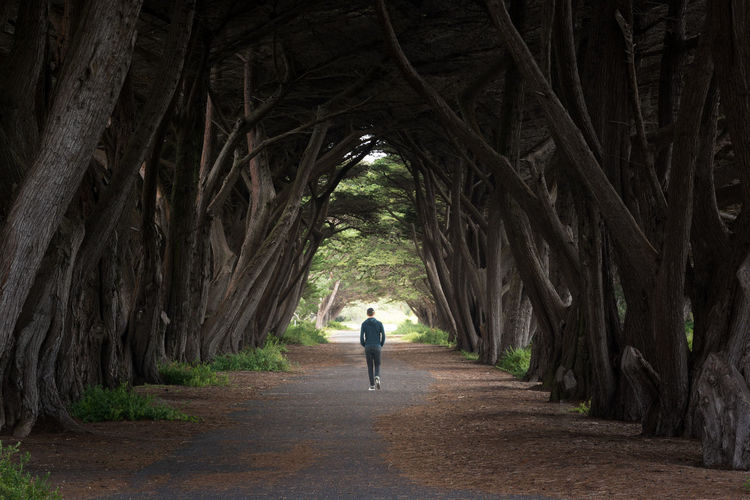 Rear view of man walking amidst trees at forest